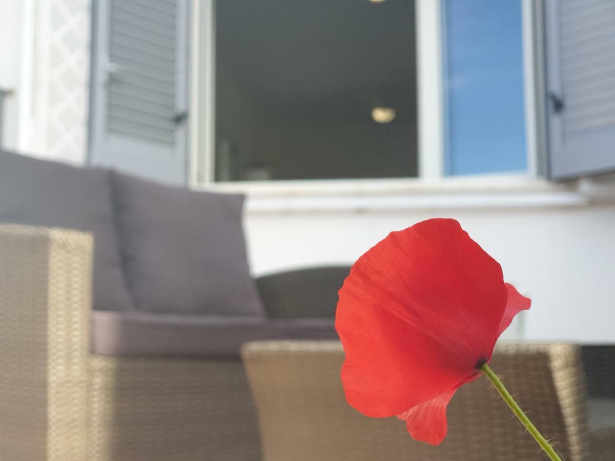 Medusa Room Apartment Porto Cesareo Dış mekan fotoğraf